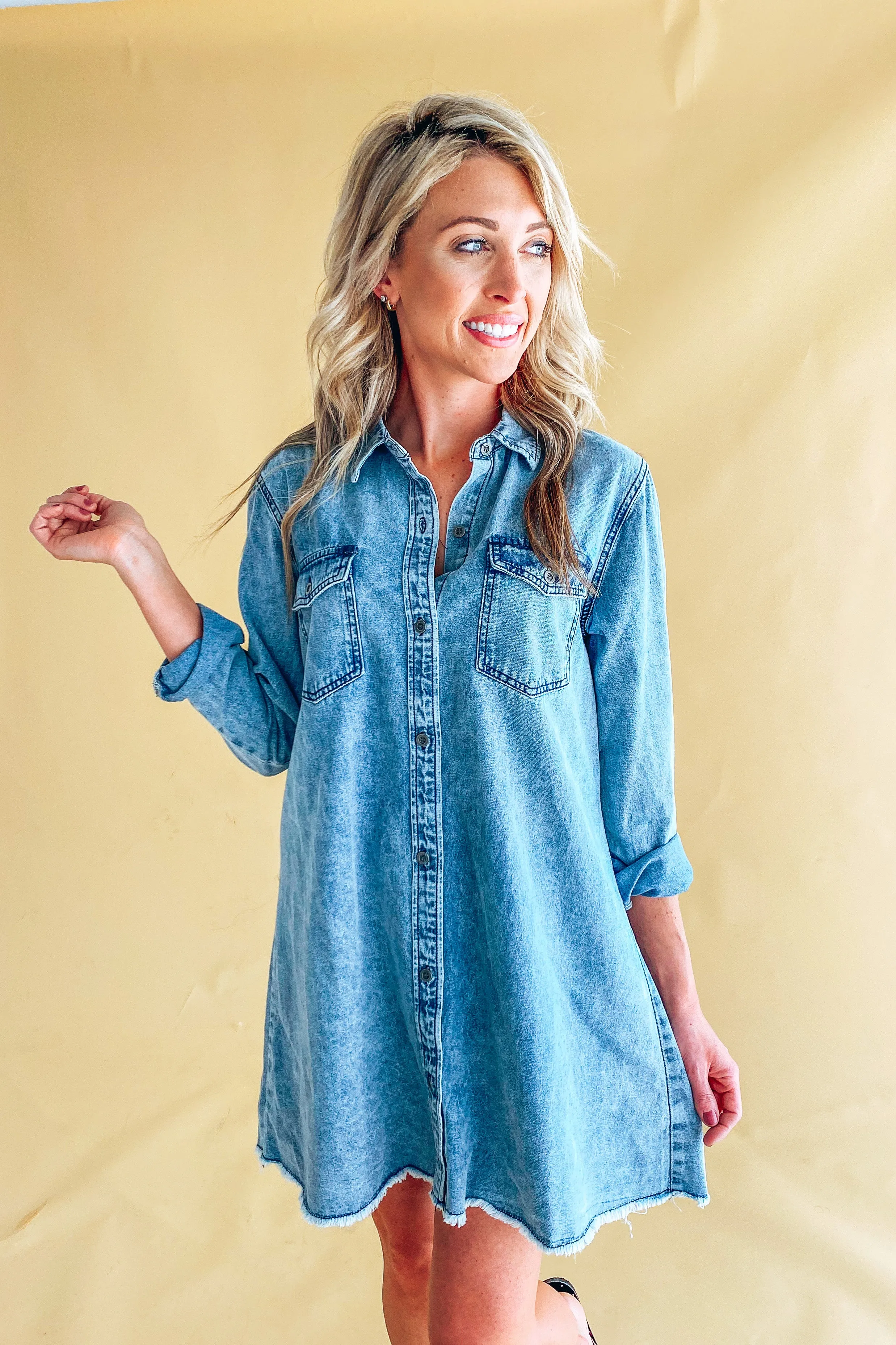 Alice Denim Long Sleeve Dress